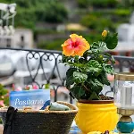 Casa Giulietta 포지타노